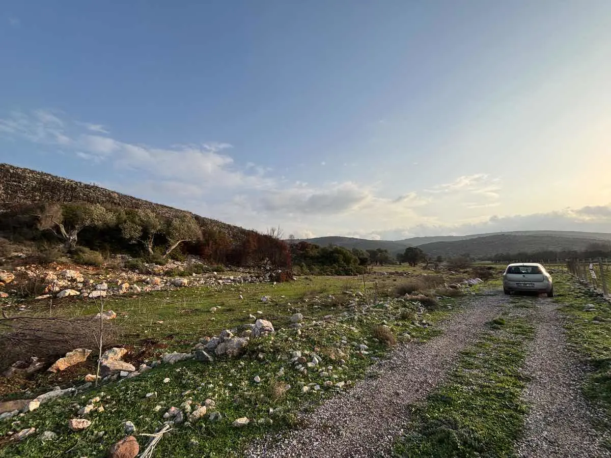 Property image 26