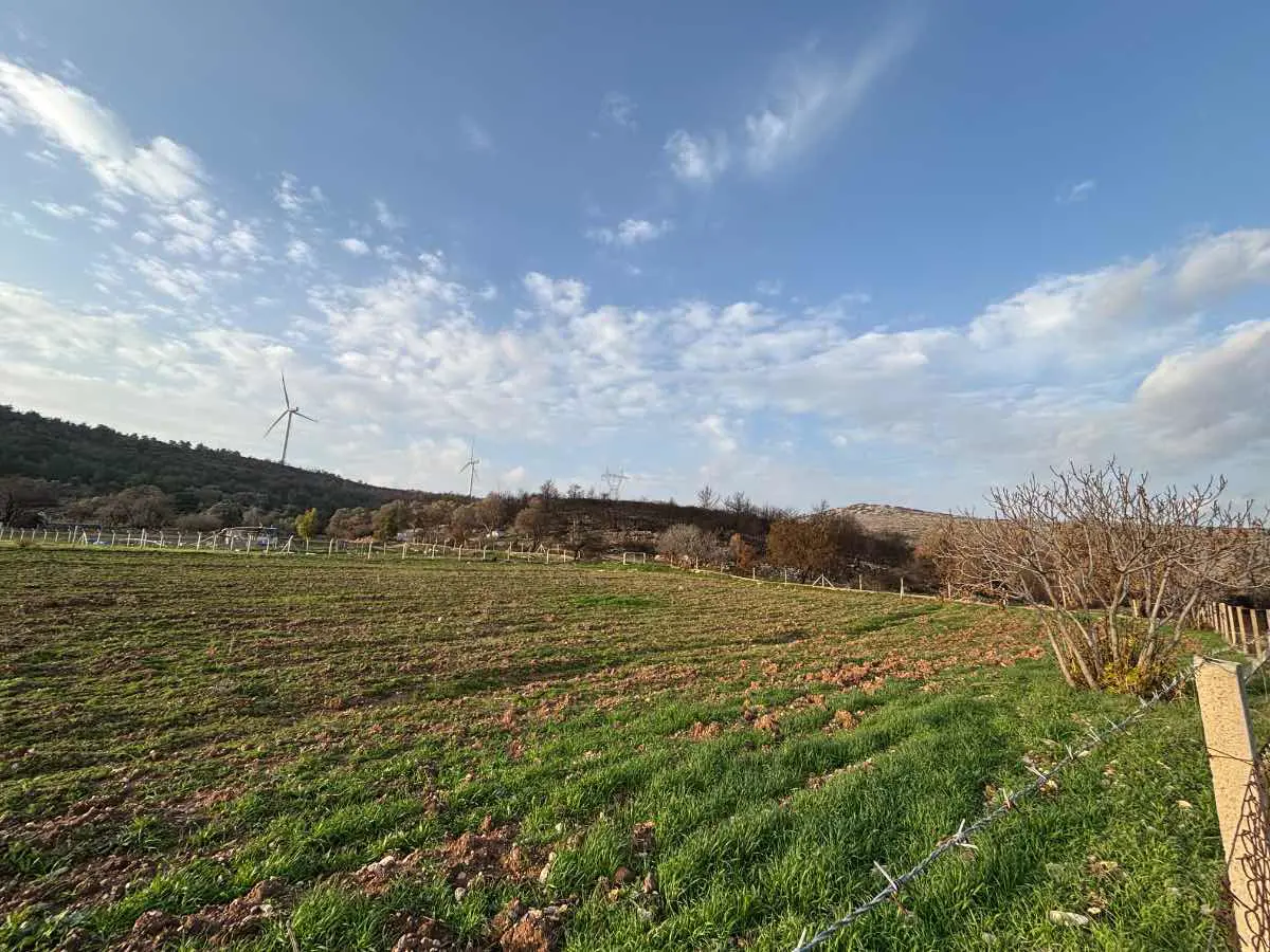 Property image 18