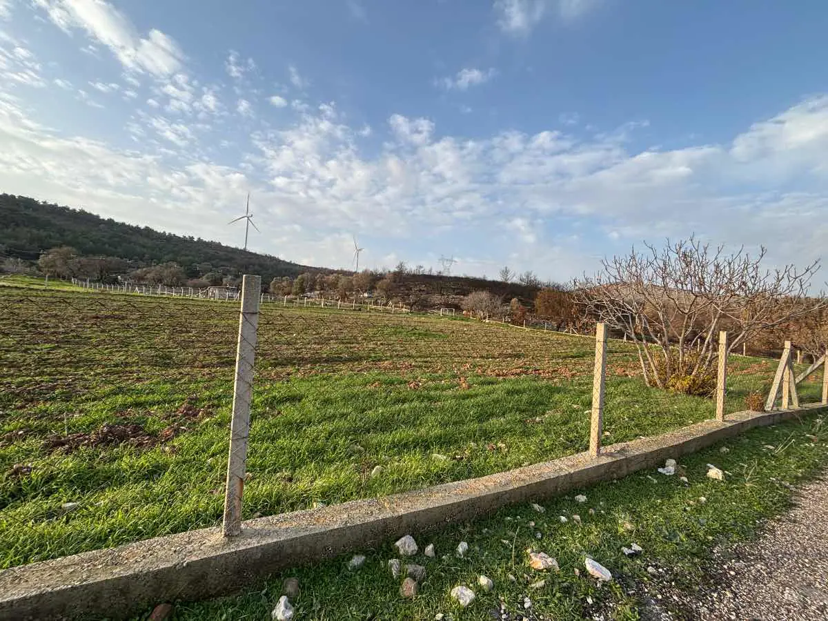Property image 22