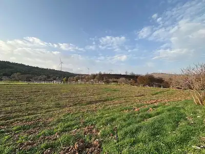 İZMIR ÇEŞME GERMIYAN’DA SATILIK TARLA