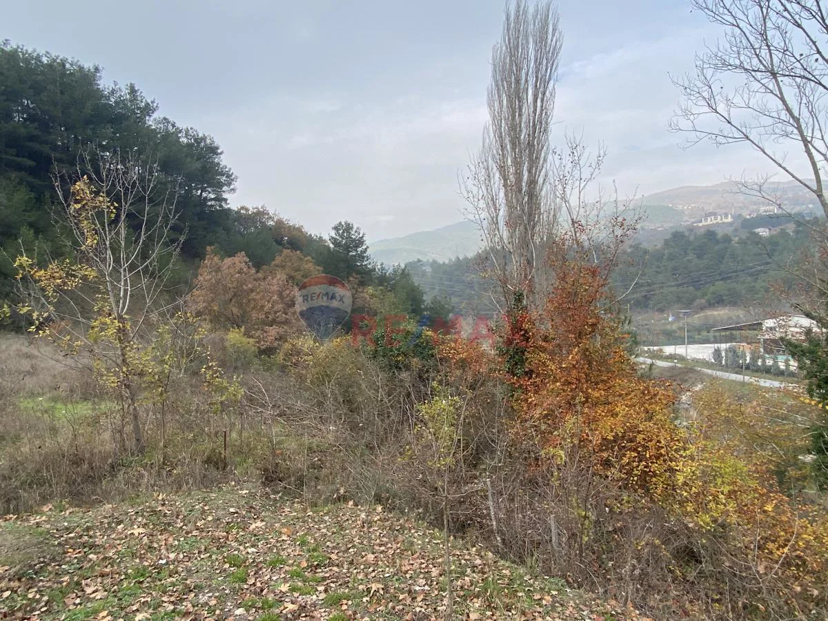 Property image 21