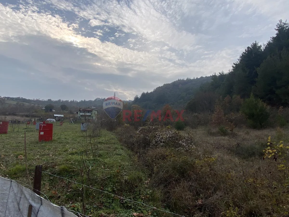 Property image 18