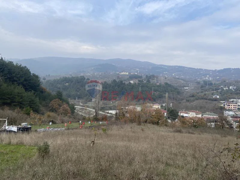 REMAX HÜR'DEN  GEYVE  ALİFUATPAŞA'DA 6.423 M2 SATILIK BAĞ