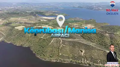 MANISA{KÖPRÜBAŞI{ ARPACI DA SATILIK ZEYTINLIK