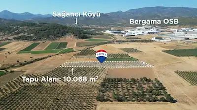BERGAMA SAĞANCI'DA DİKİLİ'YE VE ANAYOLAYAKIN SATILIK ZEYTİNLİK