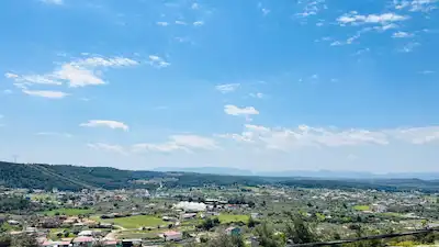 BUCA KAYNAKLAR / 7289M2 /YOLA CEPHE ZEYTİNLİK ARAZİSİ