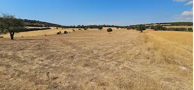 ÇANAKKALE EZİNE KEMALLI KÖYÜ’NDE MÜSTAKİL PARSEL TARLA | 165 ADA 3 PARSEL