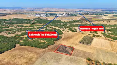 RE/MAX İNCİ'DEN ALTIEYLÜL ATKÖY’DE SATILIK MÜSTAKİL TARIM ARAZİSİ 