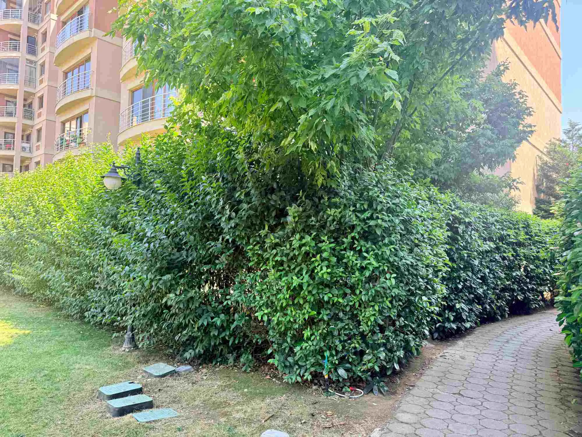 Property image 35