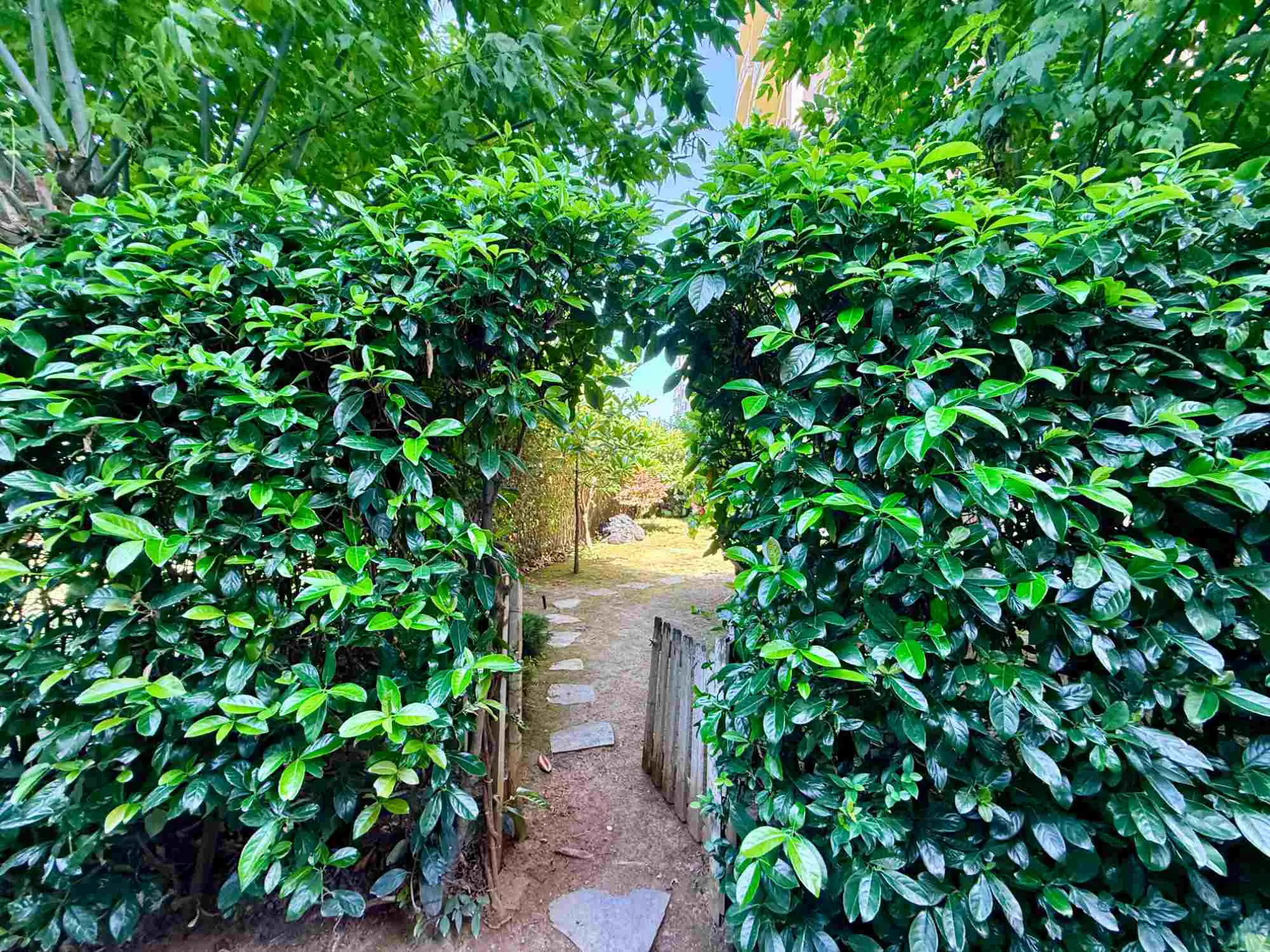 Property image 32