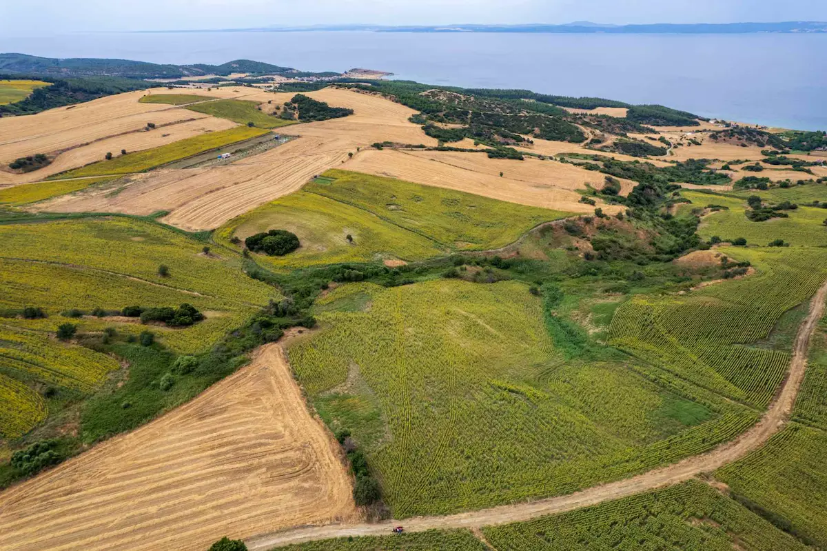 ÇANAKKALE GELİBOLU GÜNEYLİ’DE DENİZ MANZARALI 24.432 M² TARLA