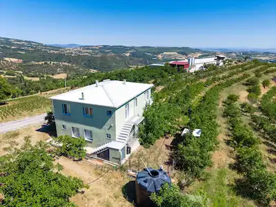  MANISA GÖRDES'DE SATILIK 180 DÖNÜM DEV ENTEGRE ÇIFTLIK & CEVIZ BAHÇESI