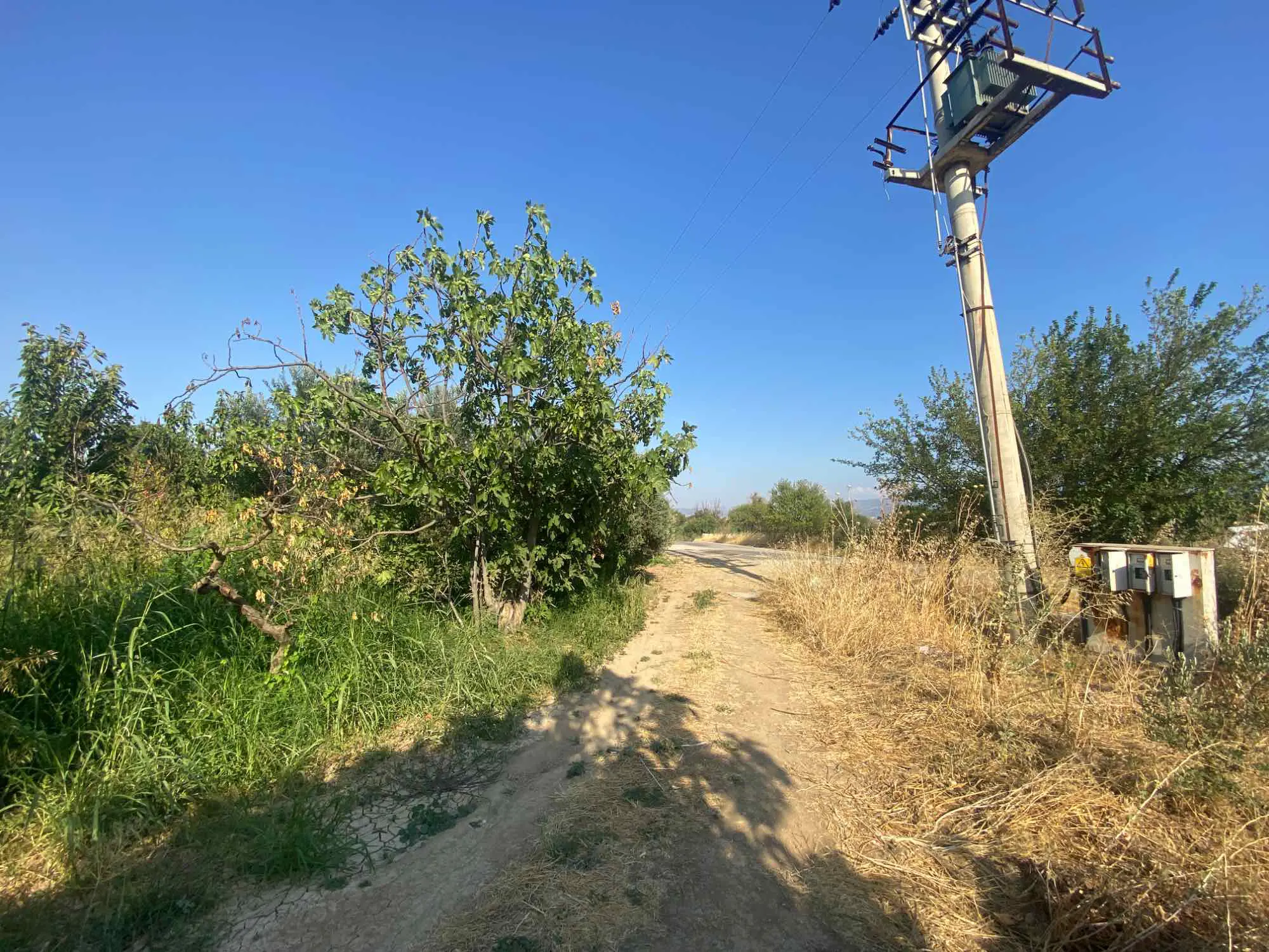 Property image 25