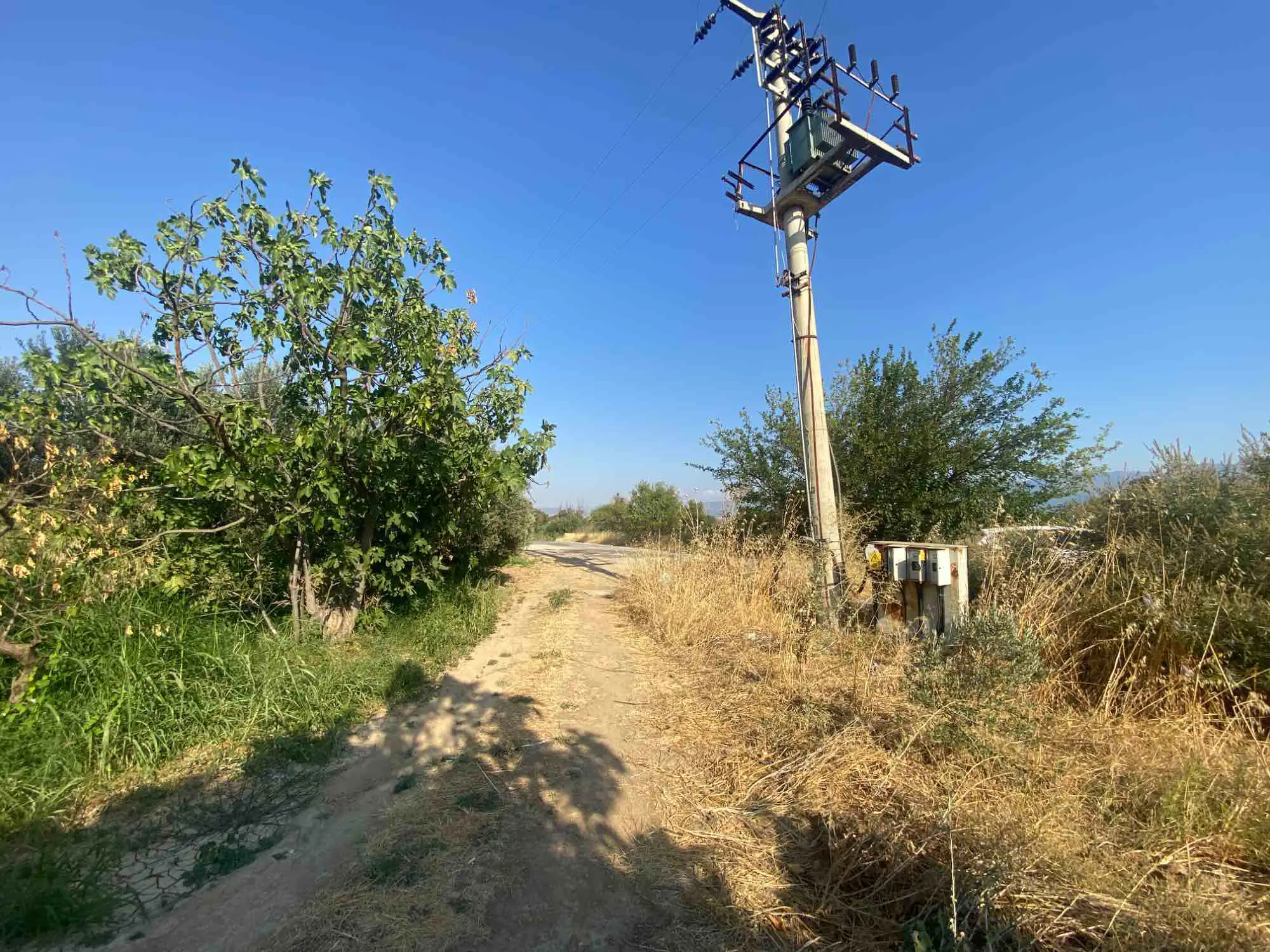 Property image 24