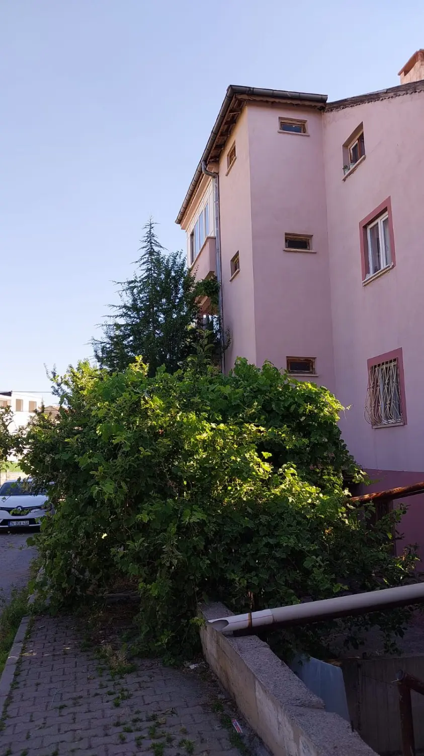 Property image 22