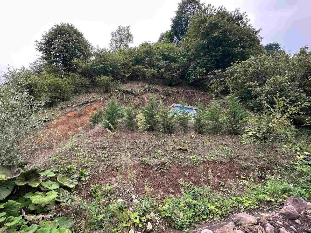 REMAX DIA'DAN DÜZCE GÖLYAKA EFTENİ GÖL MANZARALI 1.130 M2 ARSA