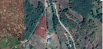 AKKUŞ GEDİKLİ'DE 3914 M² SATILIK TARLA | GENIŞ VE YOLA YAKIN ARAZI