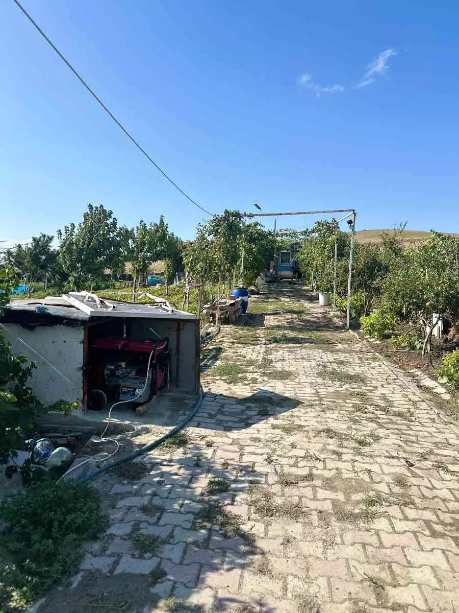 Property image 18