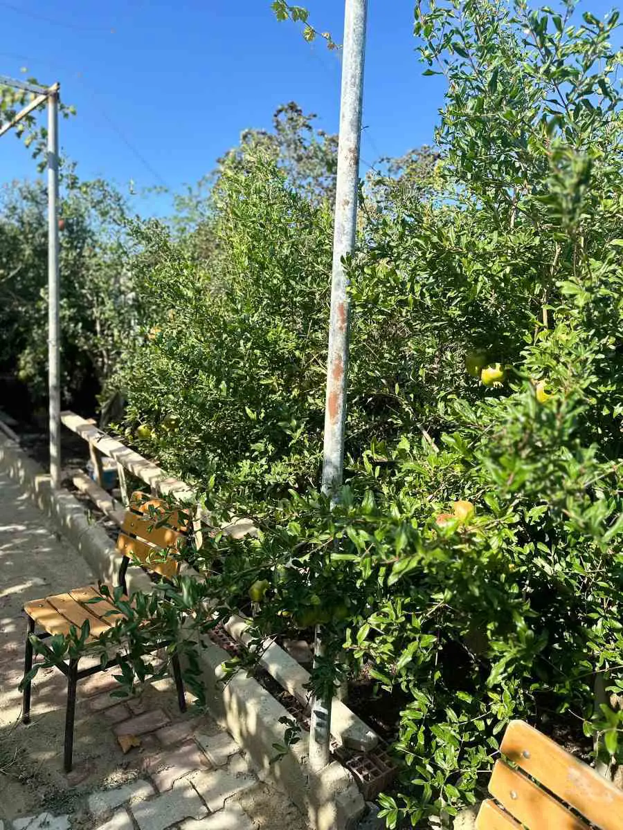 Property image 21