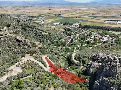 GÜLLÜBAHÇE MEVKİİ SATILIK ZEYTİNLİK