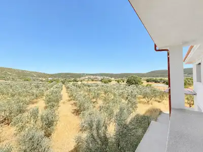 URLA NOHUTALAN'DA 10.478 M² ZEYTİNLİK VE MEVCUT YAPI