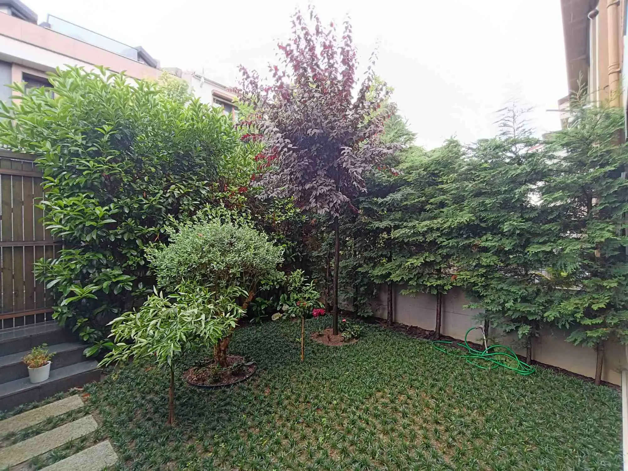 Property image 54