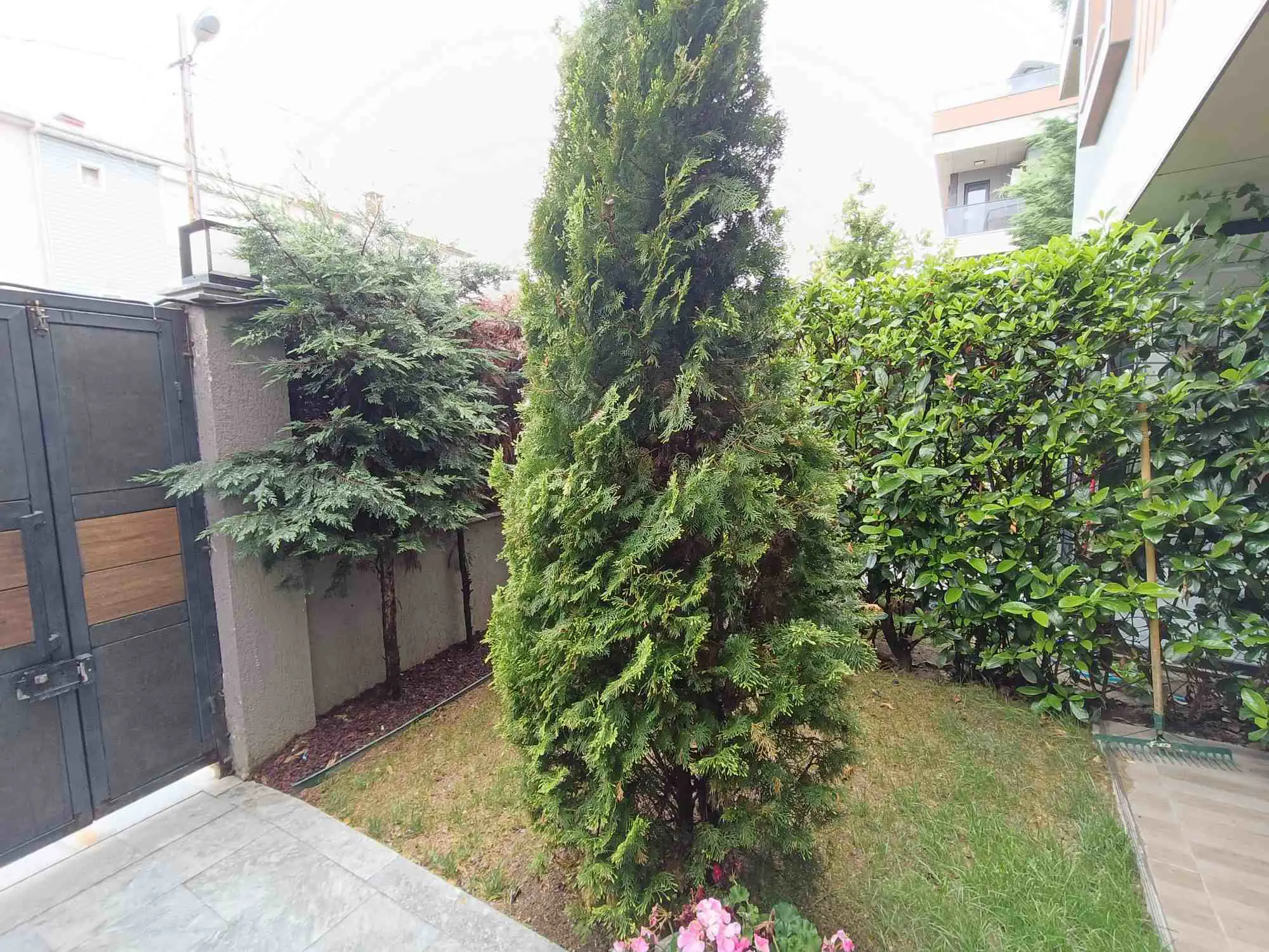 Property image 95