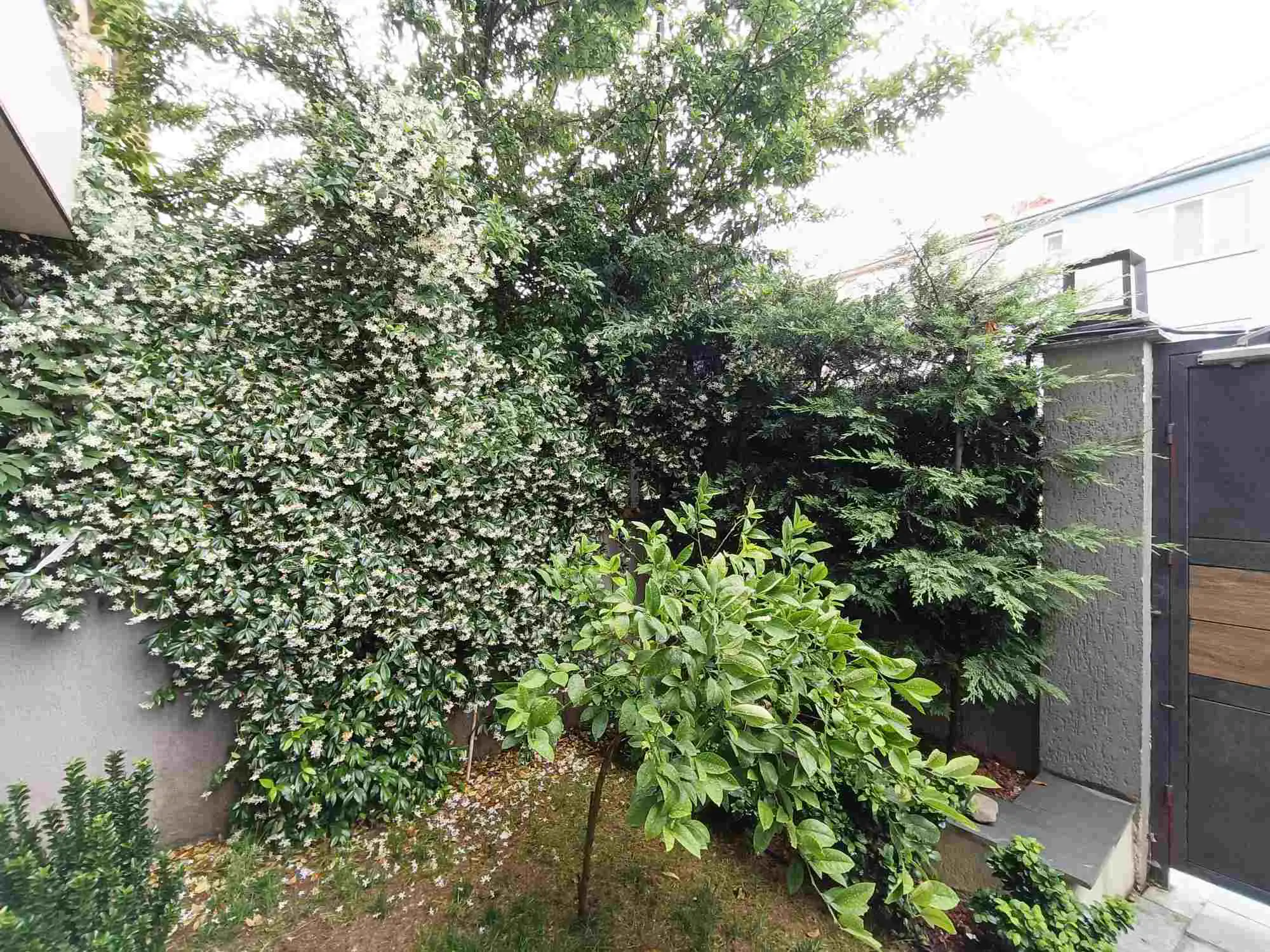 Property image 93