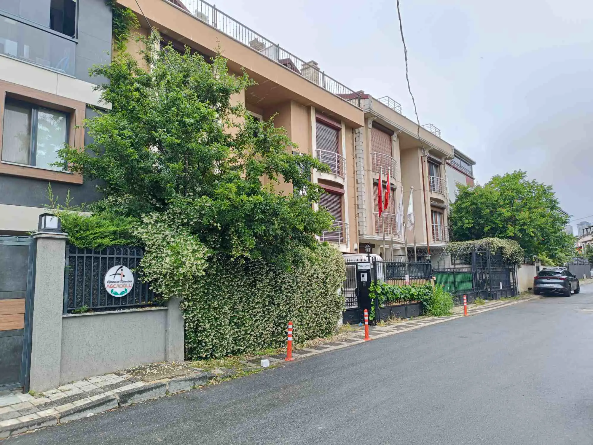 Property image 100