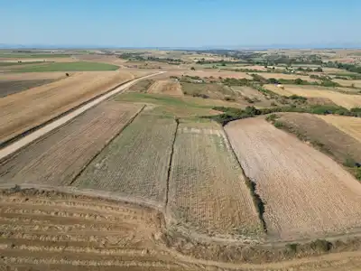 KIRKLARELİ MERKEZ KAVAKDERE KÖYÜNDE 500 M2 FIRSAT SATILIK TARLA