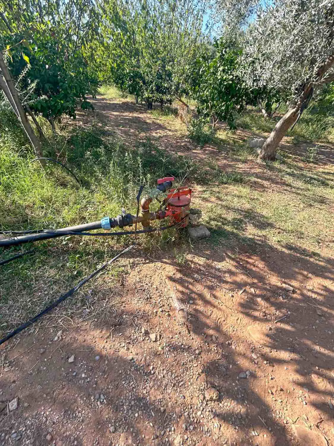 Property image 18