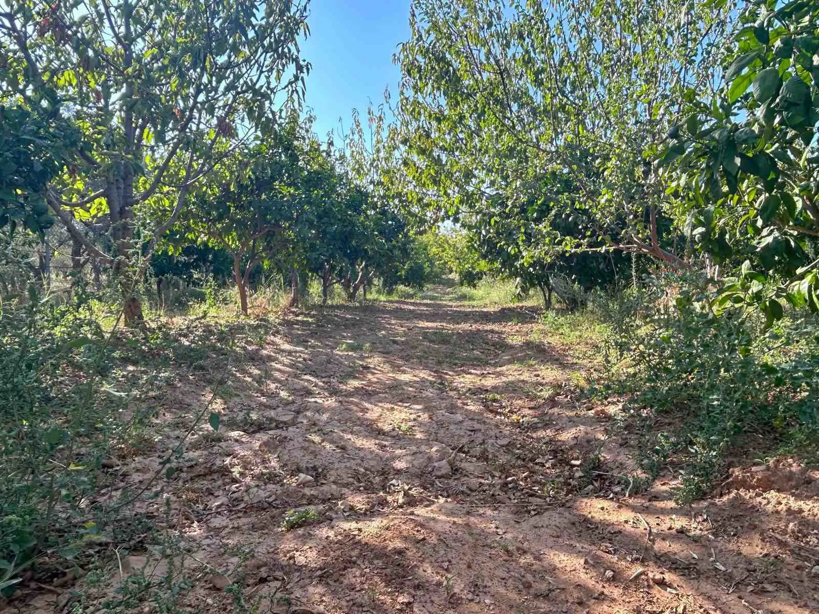 Property image 21