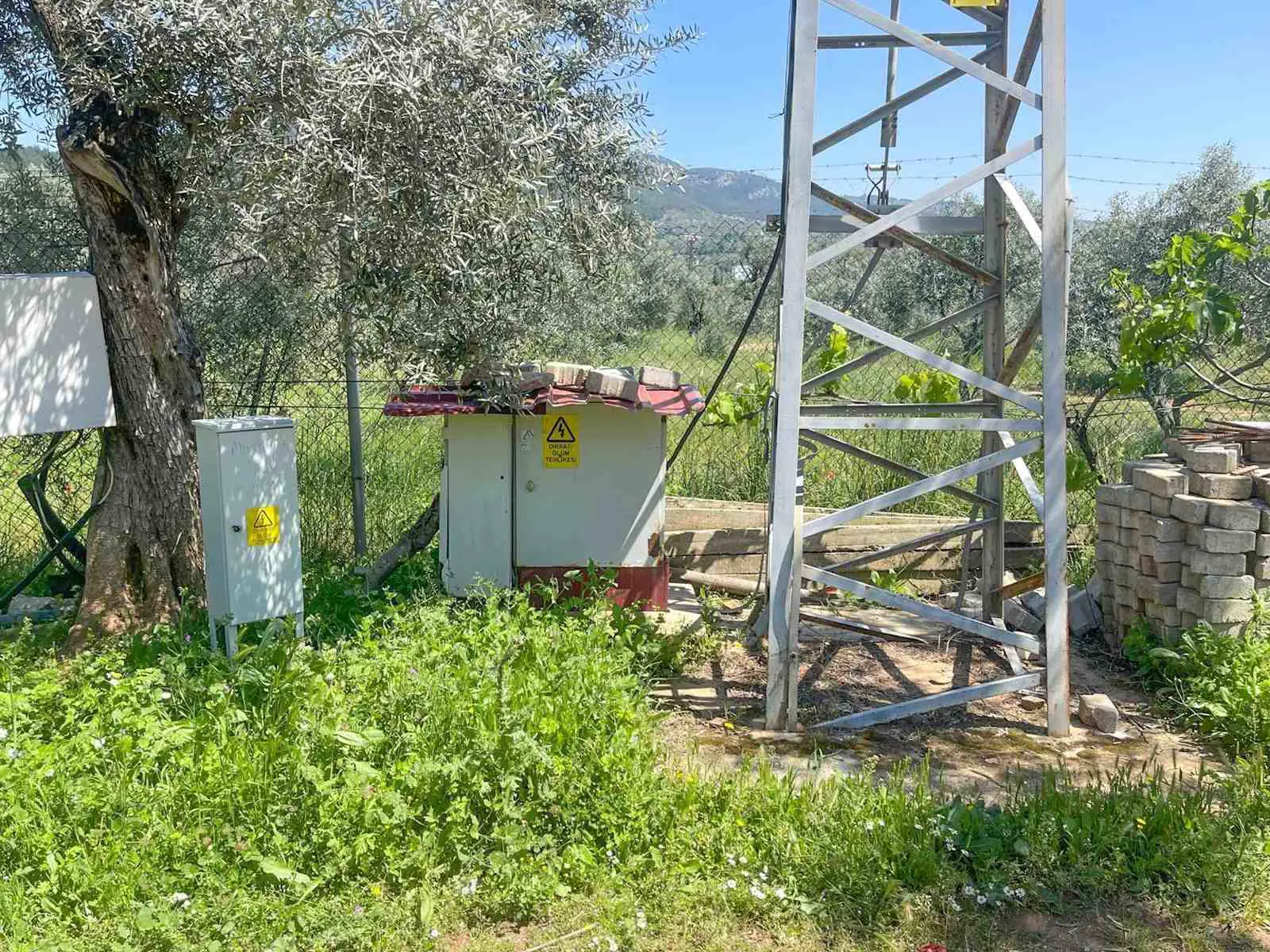 Property image 11