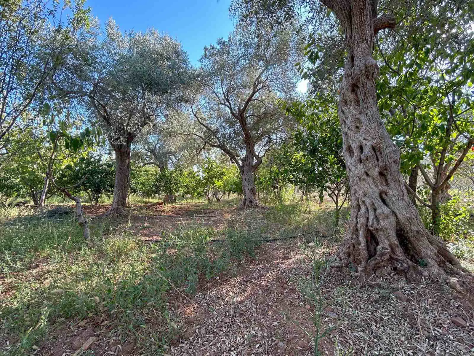 Property image 17