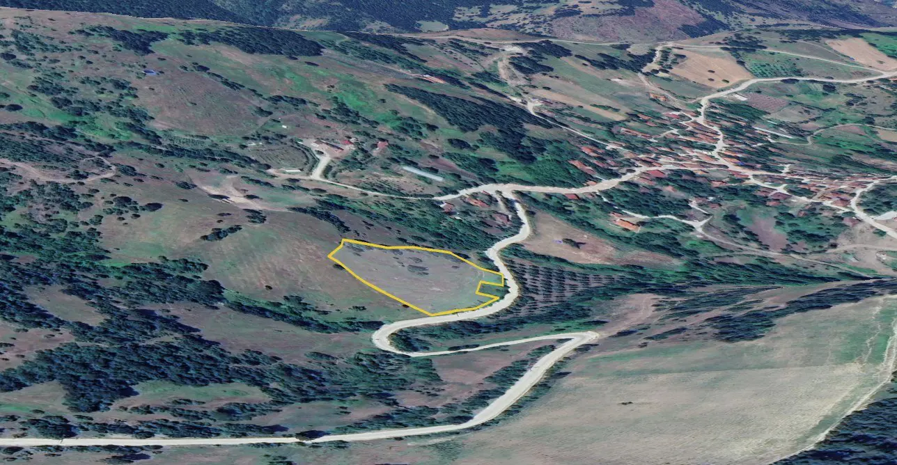 Property image 6