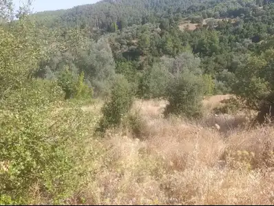KUMLUCA'NIN EN GÜZEL KÖYÜNDE SATILIK TARLA