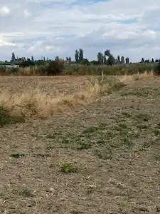 KAHRAMAN KAZAN FETHİYE MAH.YATIRIMLIK TARLA.