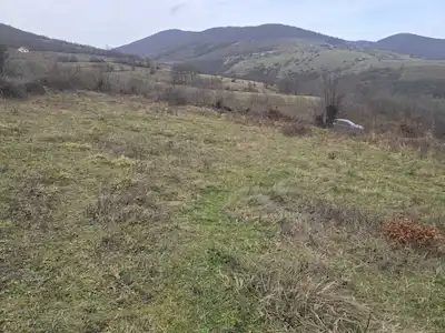 SAMSUN KAVAK BOĞAZİÇİ'NDE YATIRIMLIK 2.405 M2 SATILIK TARLA