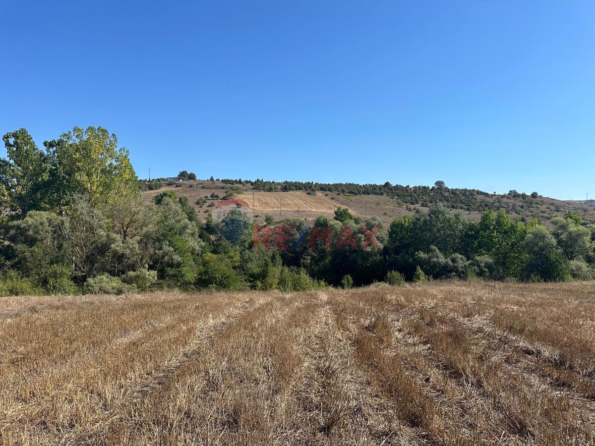 REMAX SONER'DEN KAVAK MERKEZDE İMARA SINIR SATILIK TARLA