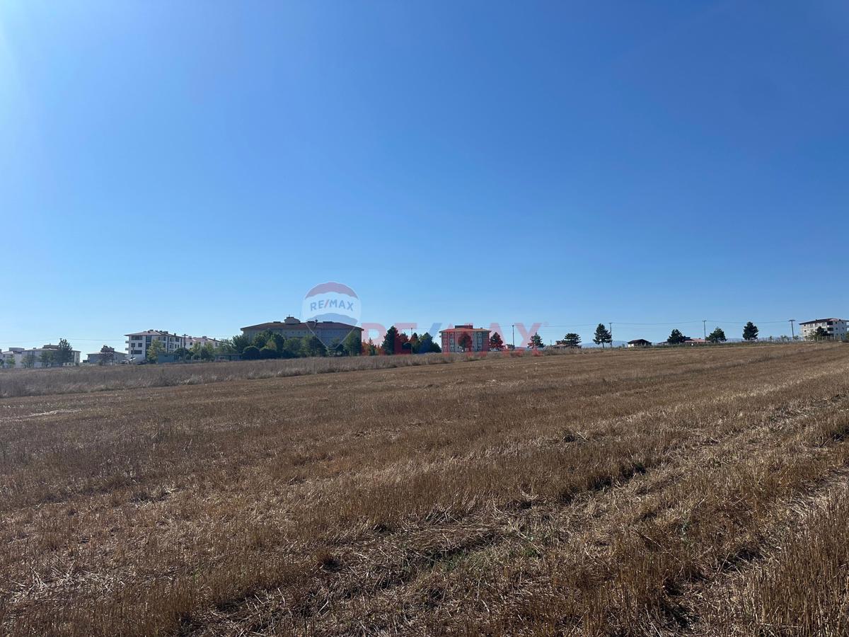 REMAX SONER'DEN KAVAK MERKEZDE İMARA SINIR SATILIK TARLA