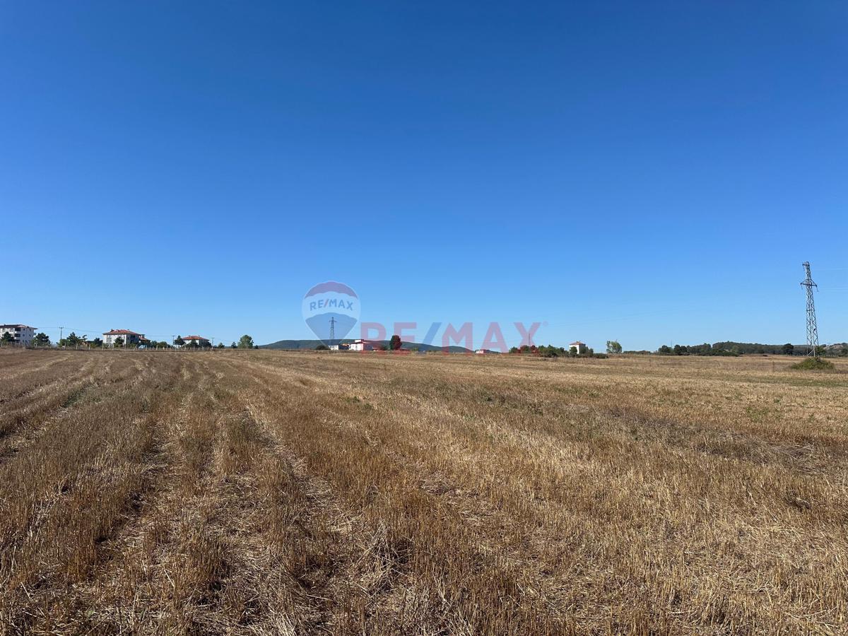 REMAX SONER'DEN KAVAK MERKEZDE İMARA SINIR SATILIK TARLA