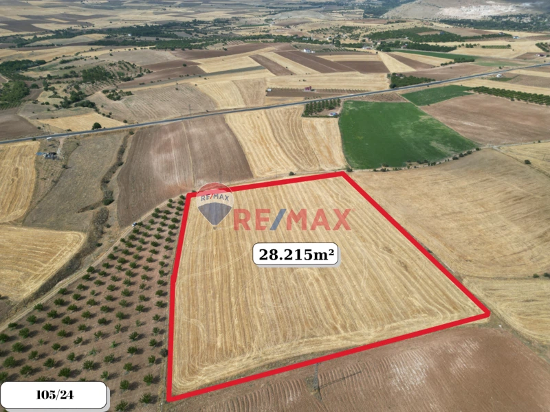 REMAX DOĞUDAN ANCUZ'DA MERKEZE YAKIN SATILIK TARLALAR