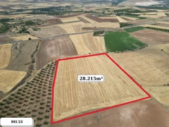 REMAX DOĞUDAN ANCUZ'DA MERKEZE YAKIN SATILIK TARLALAR