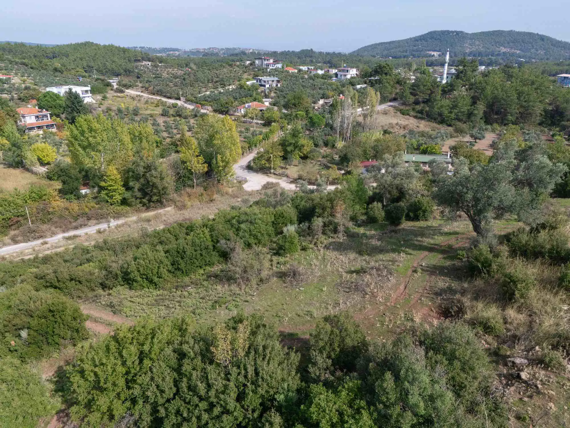 Property image 39