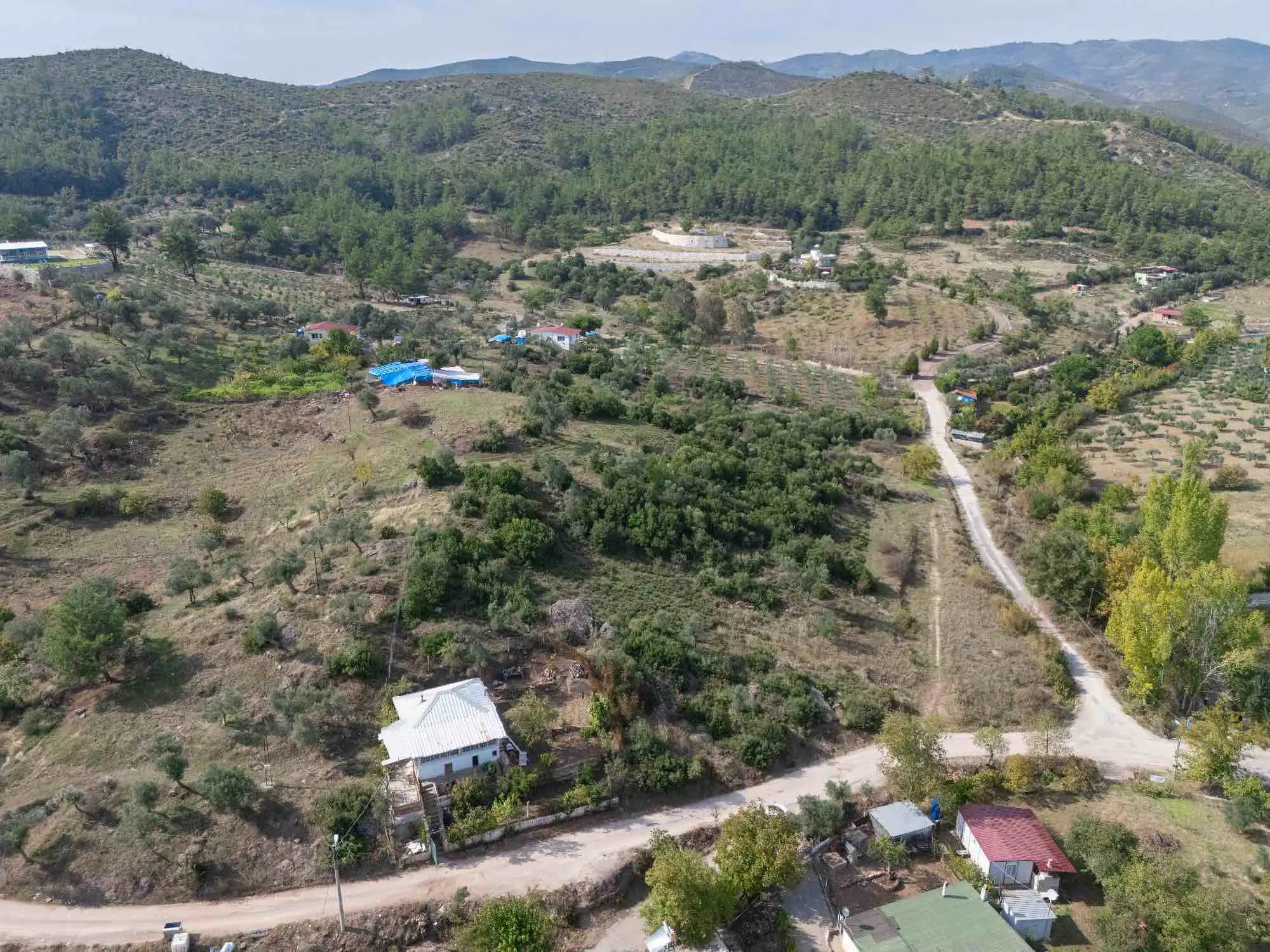 Property image 30