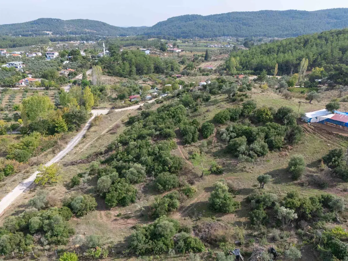 MENDERES YENIKÖY'DE ASFALT YOLA CEPHELI, TARIM VE TURIZM POTANSIYELLI SATILIK ARAZI 3