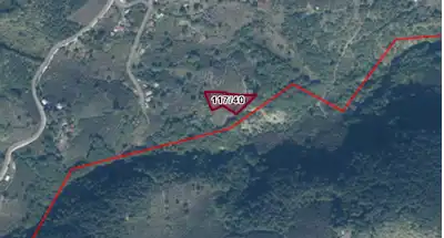 REMAX DIA'DAN DÜZCE MERKEZ ÇINARDÜZÜ'NDE 3360 M² FINDIK BAHÇESİ
