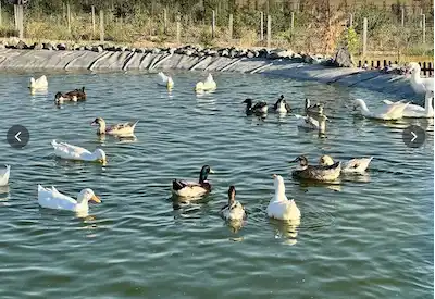 TEMELLİ DE ANKARANIN EN ÖZEL PROJE ALANINDA YATIRIM FIRSATI