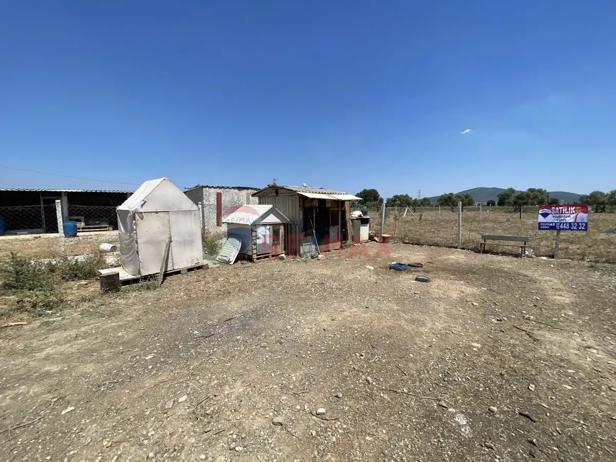 Property image 12