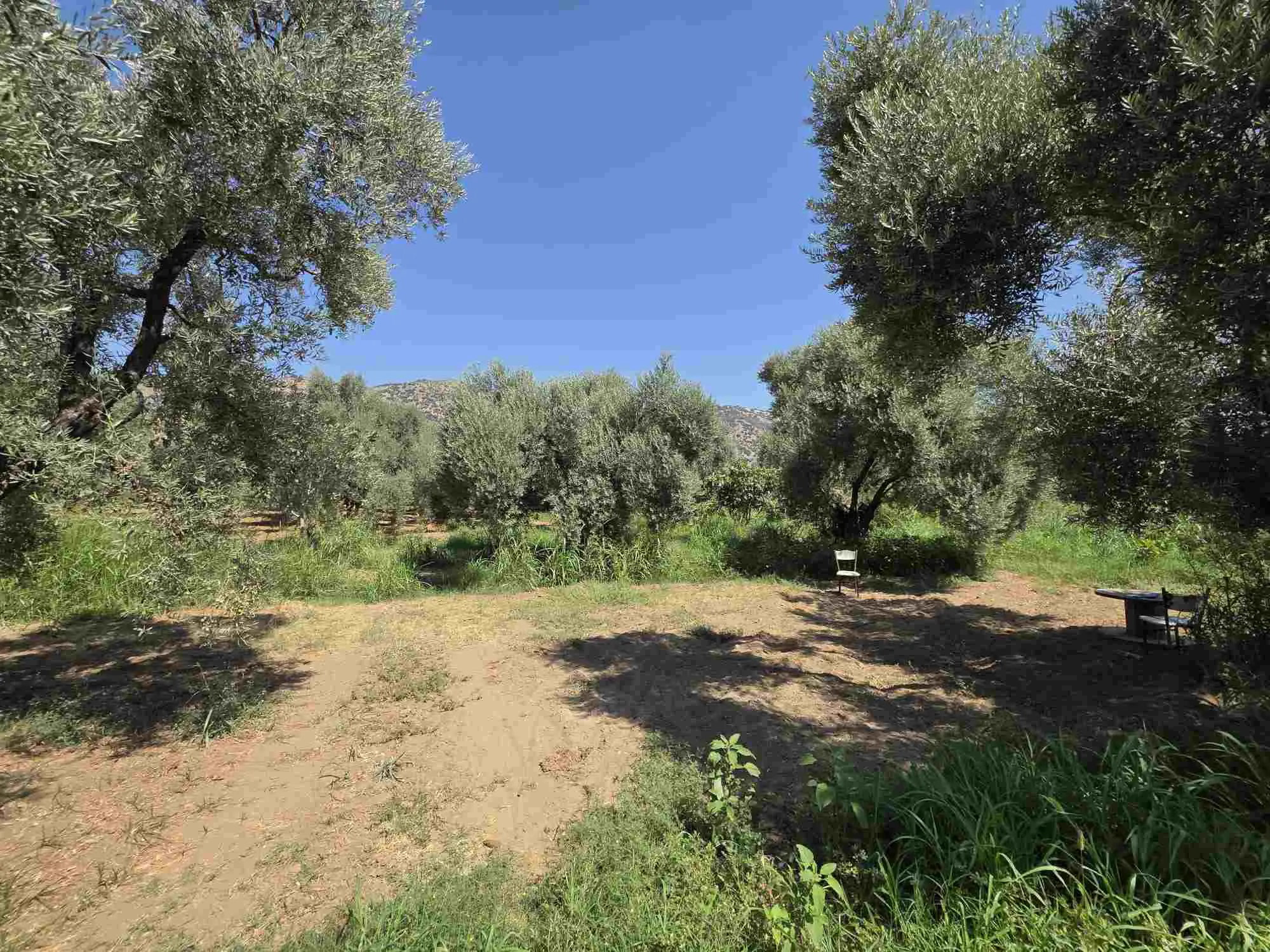 Property image 22